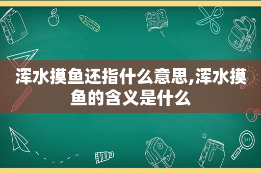 浑水摸鱼还指什么意思,浑水摸鱼的含义是什么