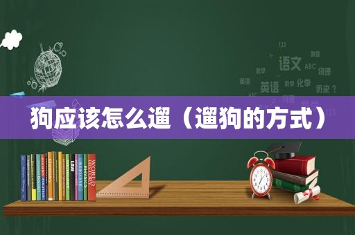 狗应该怎么遛（遛狗的方式）