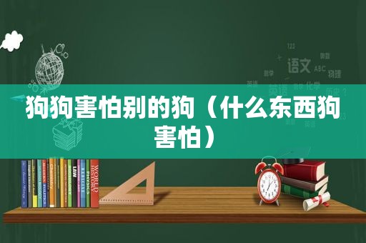 狗狗害怕别的狗（什么东西狗害怕）