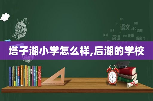 塔子湖小学怎么样,后湖的学校