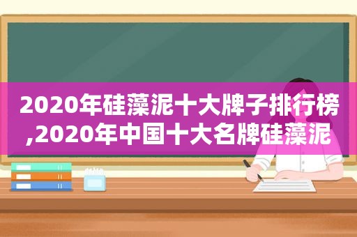 2020年硅藻泥十大牌子排行榜,2020年中国十大名牌硅藻泥