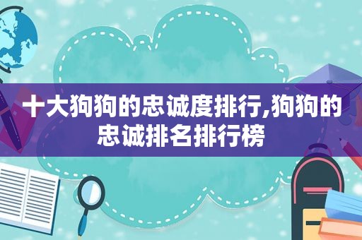 十大狗狗的忠诚度排行,狗狗的忠诚排名排行榜