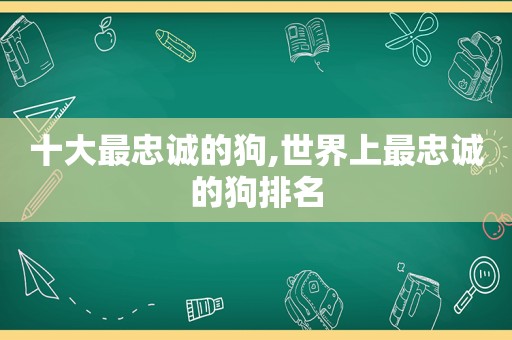 十大最忠诚的狗,世界上最忠诚的狗排名