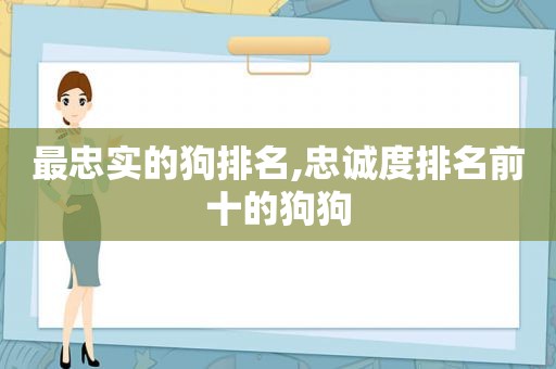 最忠实的狗排名,忠诚度排名前十的狗狗