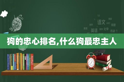 狗的忠心排名,什么狗最忠主人