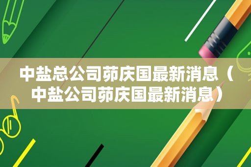 中盐总公司茆庆国最新消息（中盐公司茆庆国最新消息）