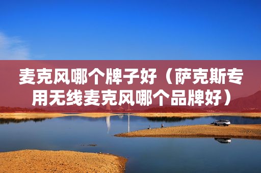 麦克风哪个牌子好（萨克斯专用无线麦克风哪个品牌好）