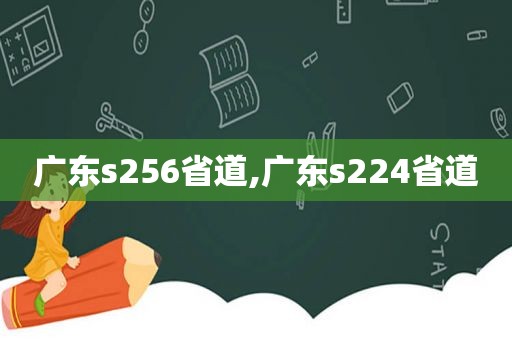 广东s256省道,广东s224省道