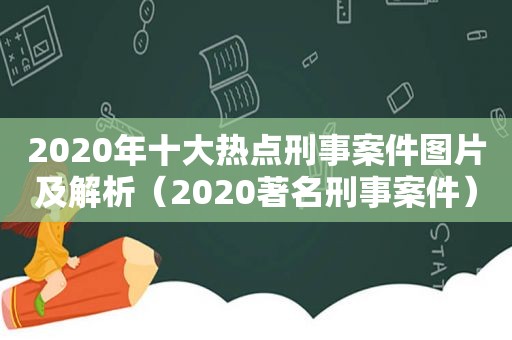 2020年十大热点刑事案件图片及解析（2020著名刑事案件）