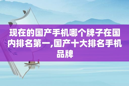 现在的国产手机哪个牌子在国内排名第一,国产十大排名手机品牌