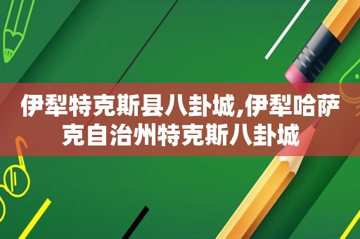 伊犁特克斯县八卦城,伊犁哈萨克自治州特克斯八卦城