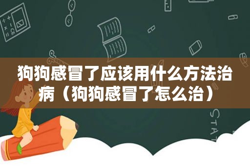 狗狗感冒了应该用什么方法治病（狗狗感冒了怎么治）