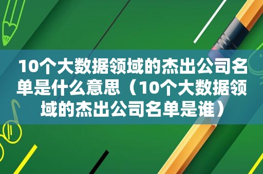 10个大数据领域的杰出公司名单是什么意思（10个大数据领域的杰出公司名单是谁）