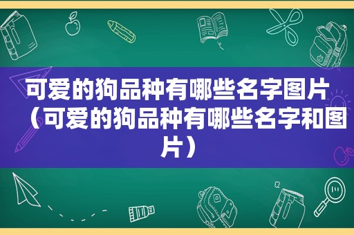 可爱的狗品种有哪些名字图片（可爱的狗品种有哪些名字和图片）