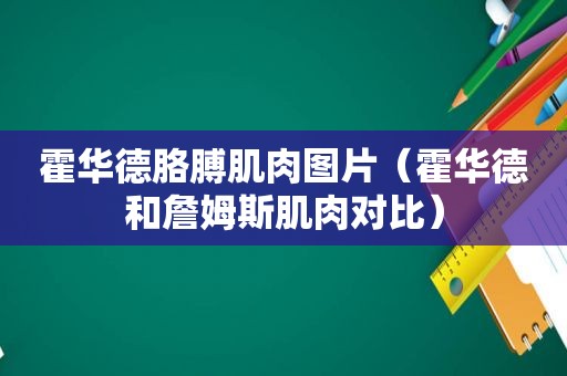 霍华德胳膊肌肉图片（霍华德和詹姆斯肌肉对比）