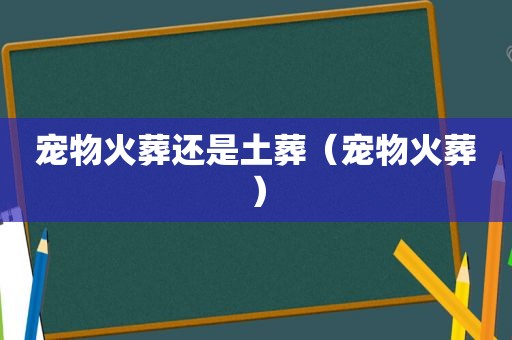 宠物火葬还是土葬（宠物火葬）