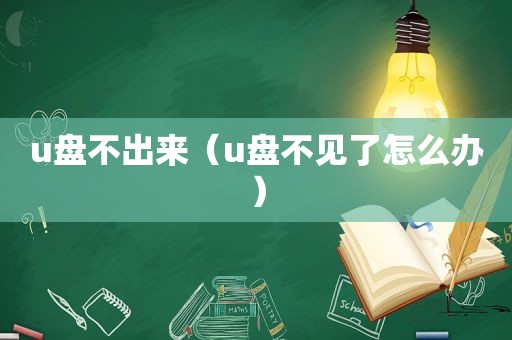 u盘不出来（u盘不见了怎么办）