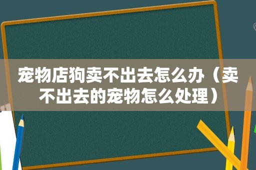 宠物店狗卖不出去怎么办（卖不出去的宠物怎么处理）