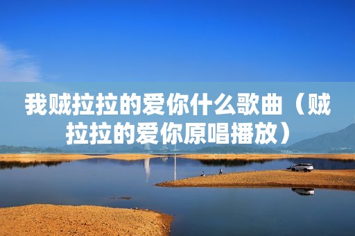 我贼拉拉的爱你什么歌曲（贼拉拉的爱你原唱播放）