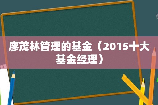 廖茂林管理的基金（2015十大基金经理）