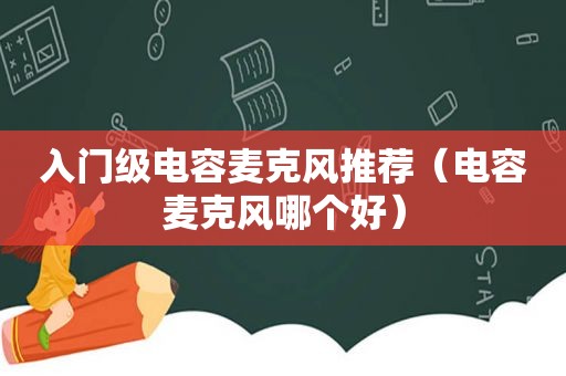 入门级电容麦克风推荐（电容麦克风哪个好）