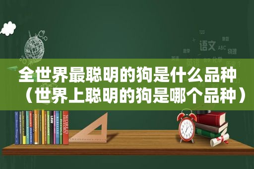 全世界最聪明的狗是什么品种（世界上聪明的狗是哪个品种）