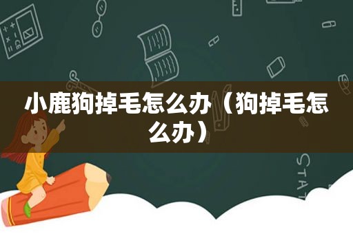 小鹿狗掉毛怎么办（狗掉毛怎么办）