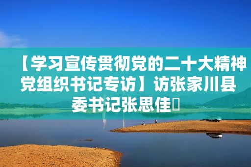 【学习宣传贯彻党的二十大精神 党组织书记专访】访张家川县委书记张思佳​