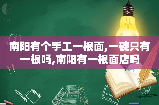 南阳有个手工一根面,一碗只有一根吗,南阳有一根面店吗