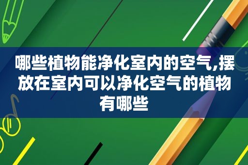 哪些植物能净化室内的空气,摆放在室内可以净化空气的植物有哪些