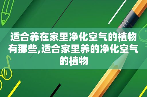 适合养在家里净化空气的植物有那些,适合家里养的净化空气的植物