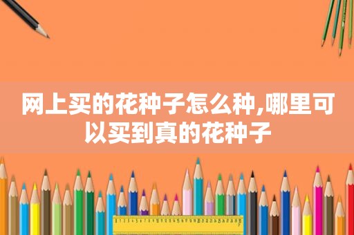 网上买的花种子怎么种,哪里可以买到真的花种子