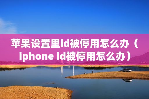 苹果设置里id被停用怎么办（iphone id被停用怎么办）