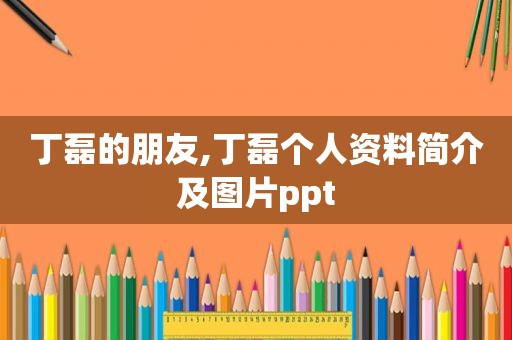 丁磊的朋友,丁磊个人资料简介及图片ppt