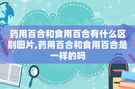 药用百合和食用百合有什么区别图片,药用百合和食用百合是一样的吗