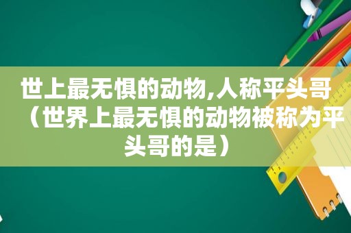 世上最无惧的动物,人称平头哥（世界上最无惧的动物被称为平头哥的是）