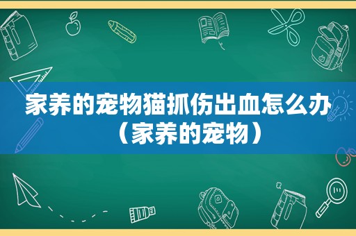 家养的宠物猫抓伤出血怎么办（家养的宠物）