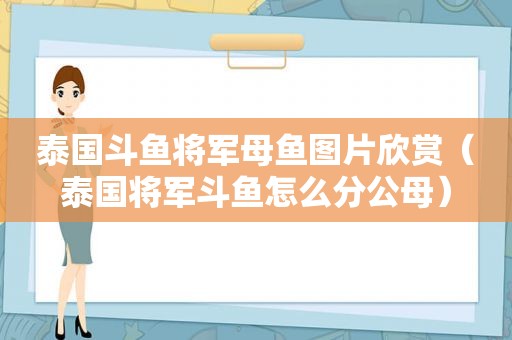 泰国斗鱼将军母鱼图片欣赏（泰国将军斗鱼怎么分公母）