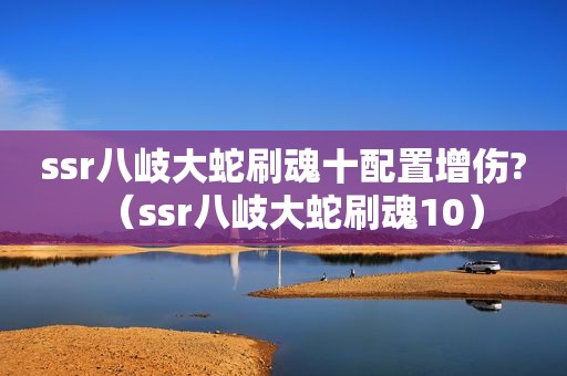 ssr八岐大蛇刷魂十配置增伤?（ssr八岐大蛇刷魂10）