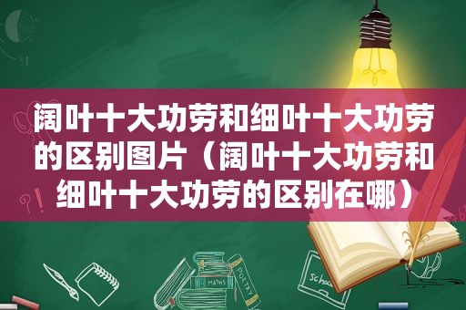 阔叶十大功劳和细叶十大功劳的区别图片（阔叶十大功劳和细叶十大功劳的区别在哪）