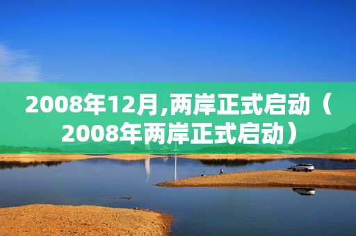 2008年12月,两岸正式启动（2008年两岸正式启动）