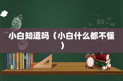 小白知道吗（小白什么都不懂）