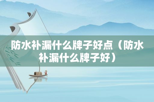 防水补漏什么牌子好点（防水补漏什么牌子好）