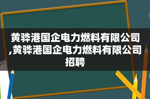 黄骅港国企电力燃料有限公司,黄骅港国企电力燃料有限公司招聘