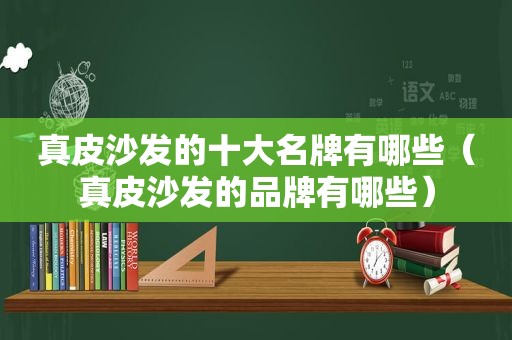 真皮沙发的十大名牌有哪些（真皮沙发的品牌有哪些）