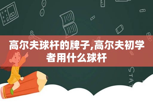 高尔夫球杆的牌子,高尔夫初学者用什么球杆