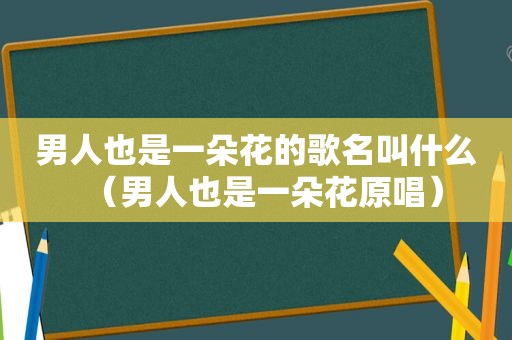 男人也是一朵花的歌名叫什么（男人也是一朵花原唱）