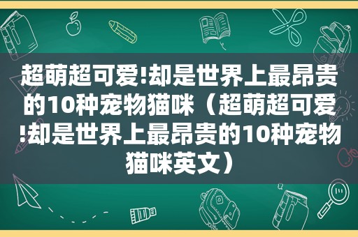 超萌超可爱!却是世界上最昂贵的10种宠物猫咪（超萌超可爱!却是世界上最昂贵的10种宠物猫咪英文）