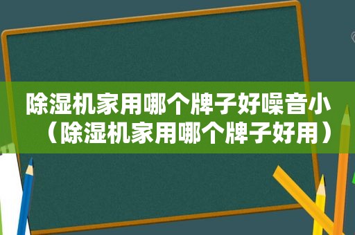 除湿机家用哪个牌子好噪音小（除湿机家用哪个牌子好用）