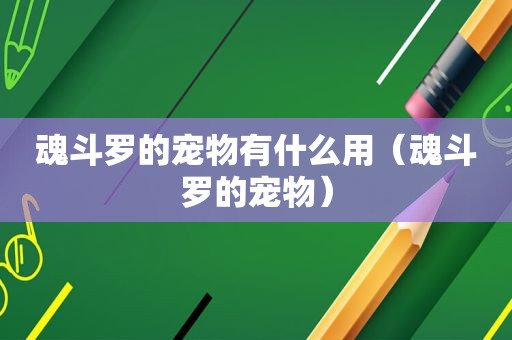 魂斗罗的宠物有什么用（魂斗罗的宠物）